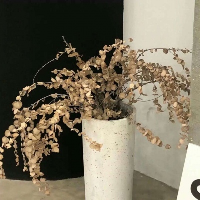 Furry插画素材合集FurryQQ群